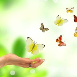 Reiki-2-02.05.21-rev-1